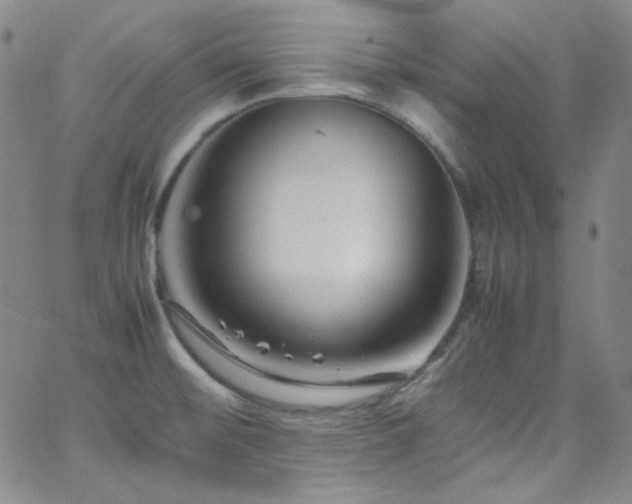 X0000062631476200512211216