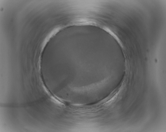 X0000062631477200512211216