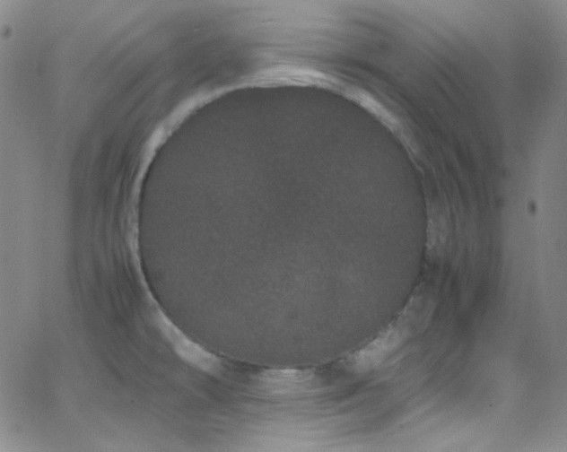 X0000062631478200512211216