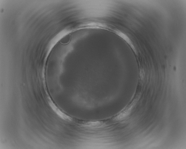 X0000062631482200512211216