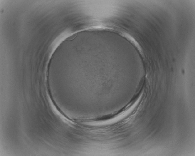 X0000062631483200512211216