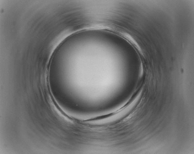 X0000062631484200512211216