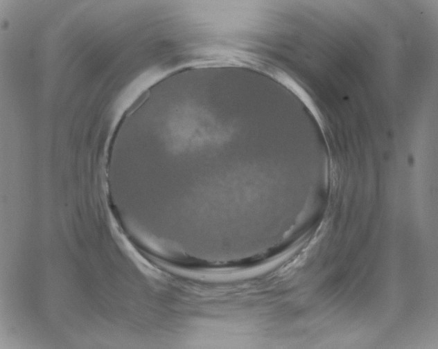 X0000062631485200512211216