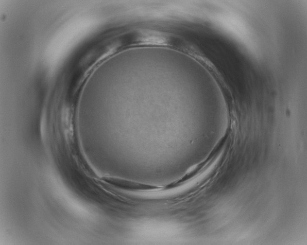 X0000062631487200512211216