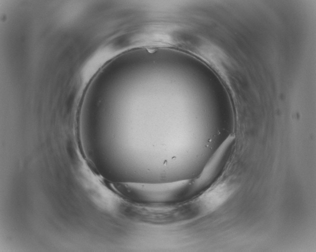 X0000062631488200512211216