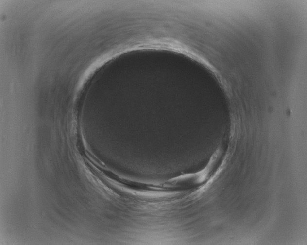 X0000062631506200512211215