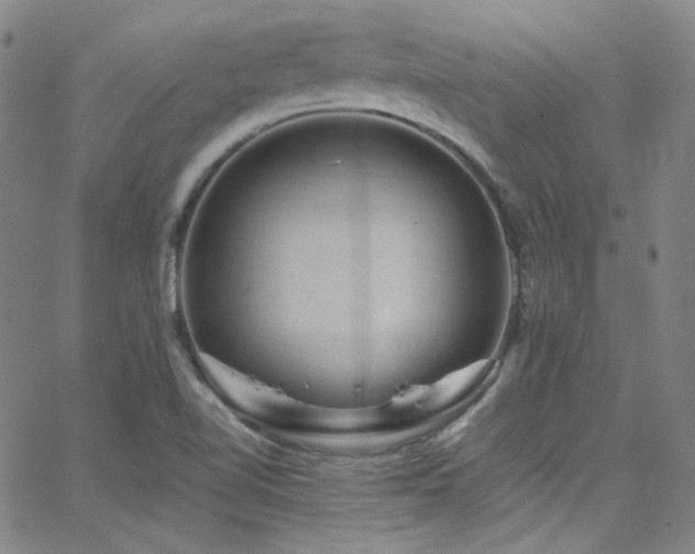 X0000062631510200512211215