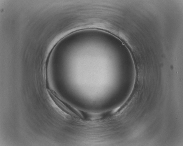X0000062631516200512211215