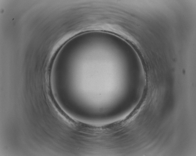 X0000062631517200512211215
