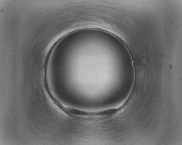 X0000062631518200512211216