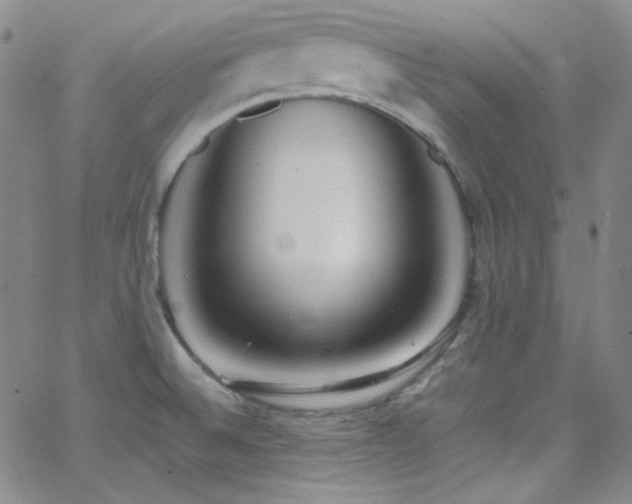 X0000062631524200512211216