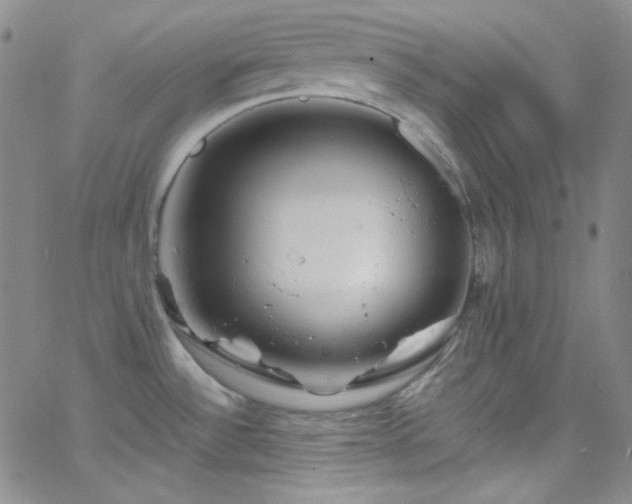 X0000062631532200512211216