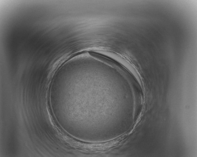 X0000062630001200512231026