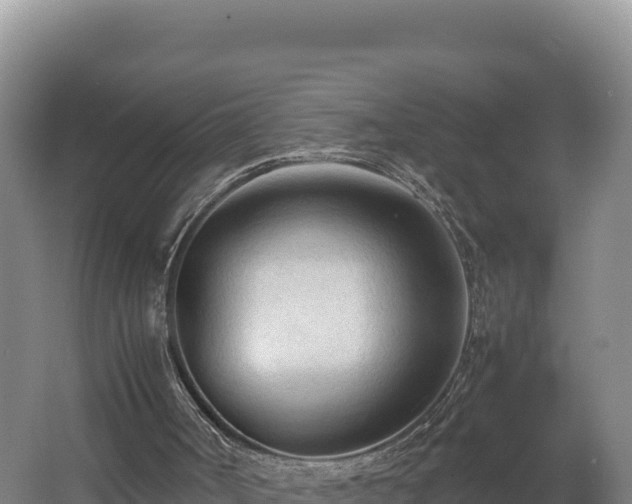 X0000062630002200512231026