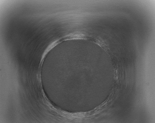 X0000062630004200512231026