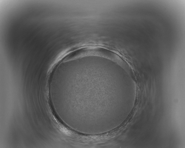 X0000062630005200512231026