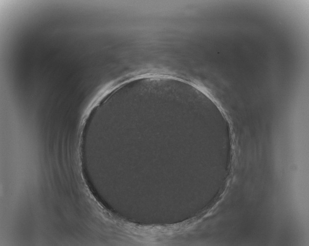 X0000062630007200512231026