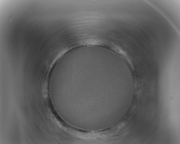 X0000062630012200512231026