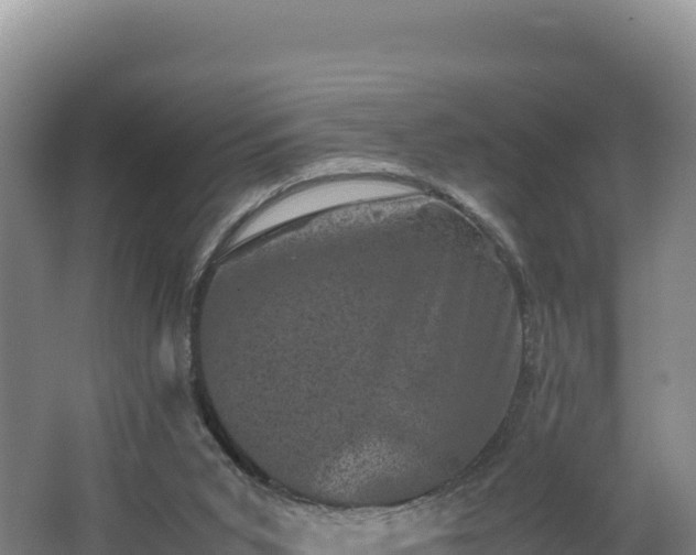 X0000062630015200512231026