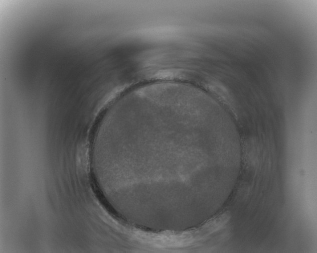 X0000062630016200512231026