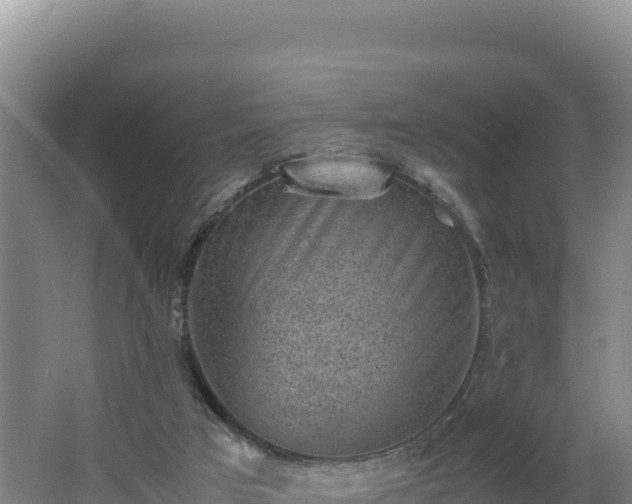 X0000062630017200512231026