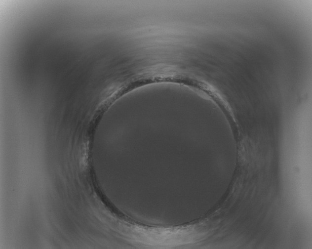 X0000062630018200512231026