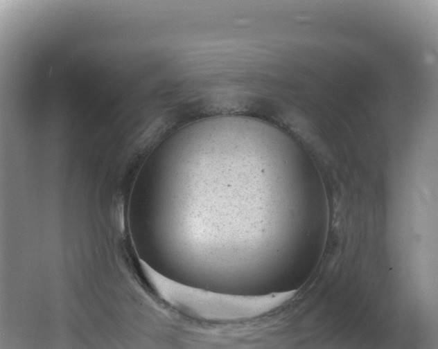 X0000062630021200512231026