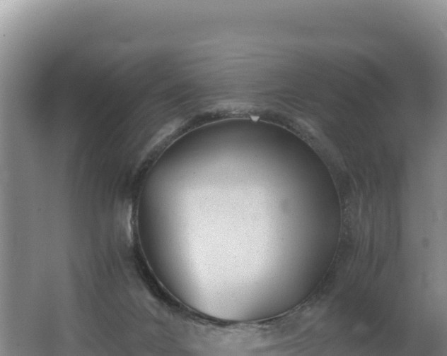 X0000062630024200512231026