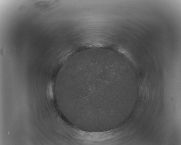 X0000062630026200512231026