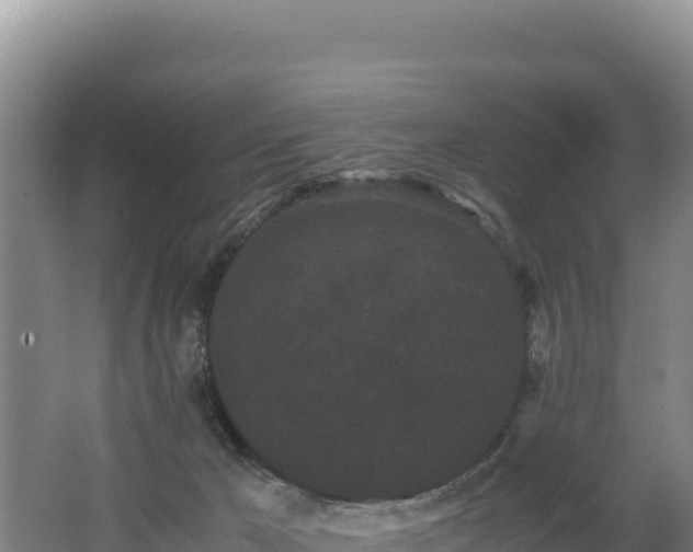 X0000062630029200512231026