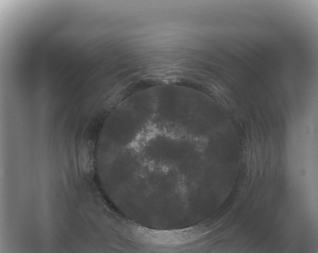 X0000062630030200512231026