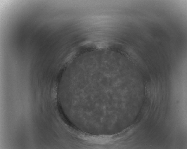 X0000062630032200512231026