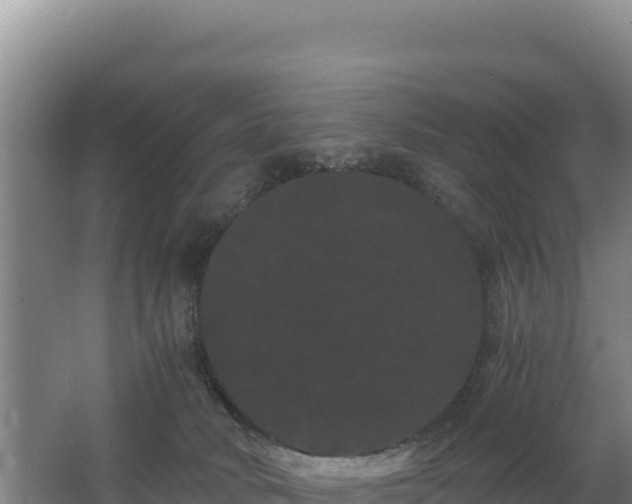 X0000062630034200512231026