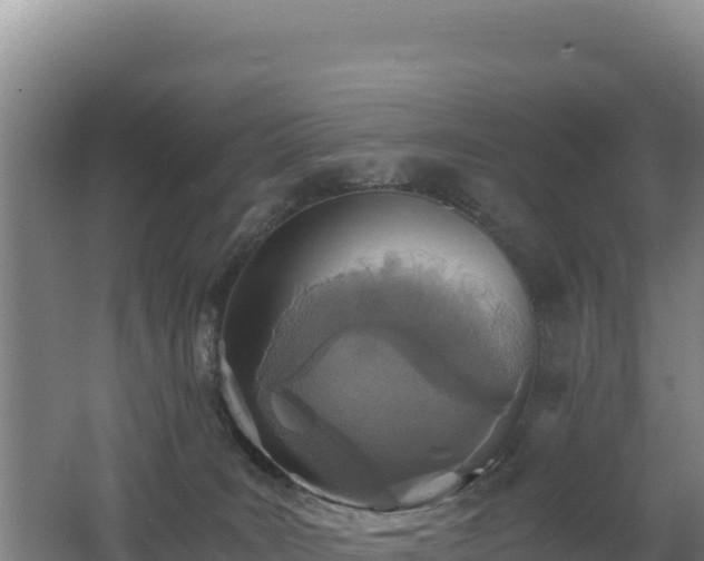 X0000062630035200512231026