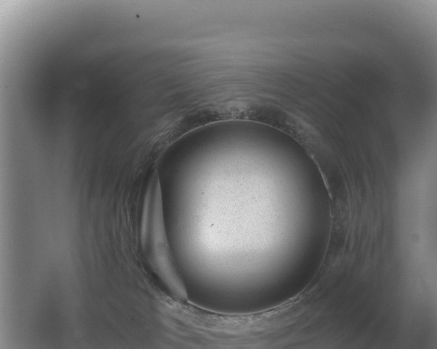 X0000062630037200512231026