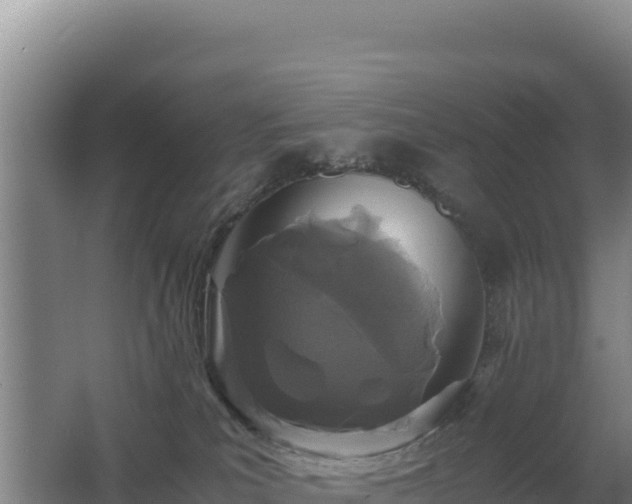 X0000062630039200512231025