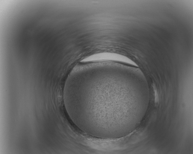 X0000062630040200512231025