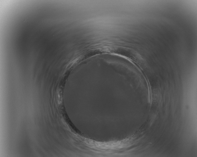 X0000062630043200512231025