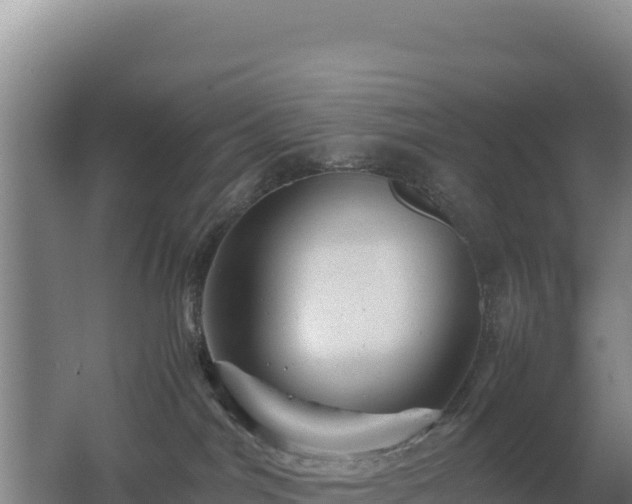 X0000062630044200512231025