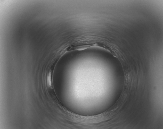 X0000062630046200512231025