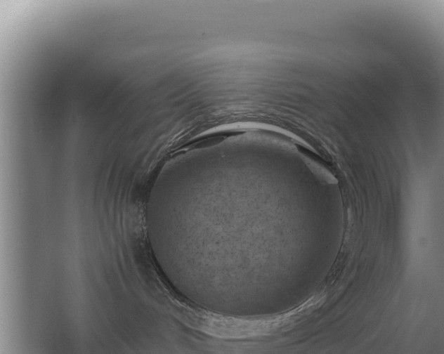 X0000062630048200512231025