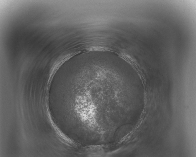 X0000062630049200512231024