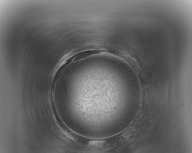 X0000062630051200512231025