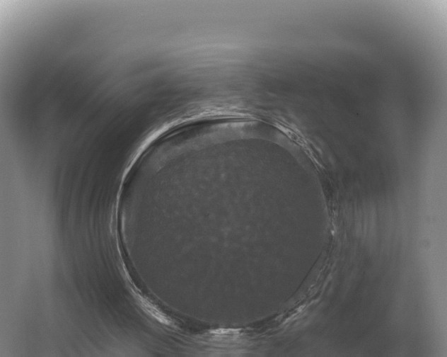 X0000062630052200512231025