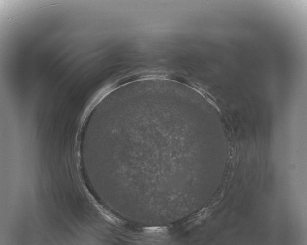 X0000062630053200512231025