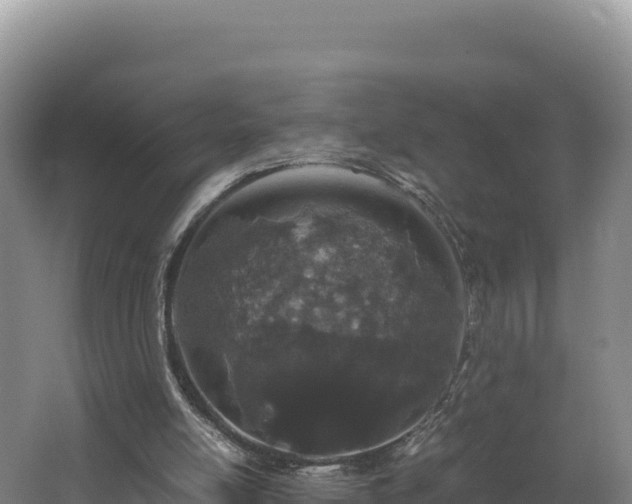 X0000062630054200512231025