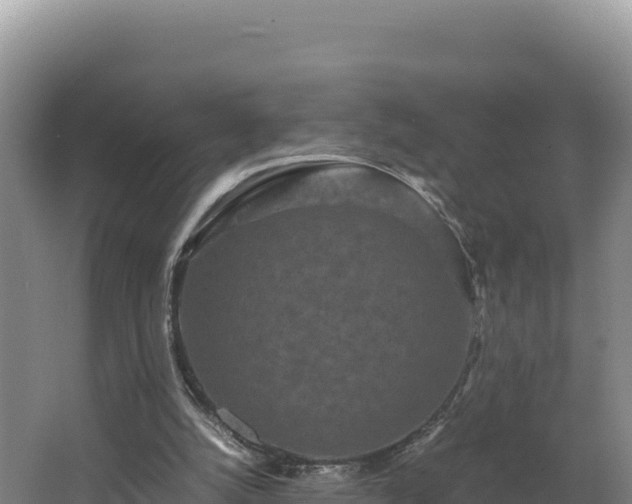 X0000062630056200512231025