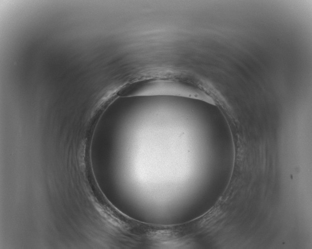 X0000062630058200512231025