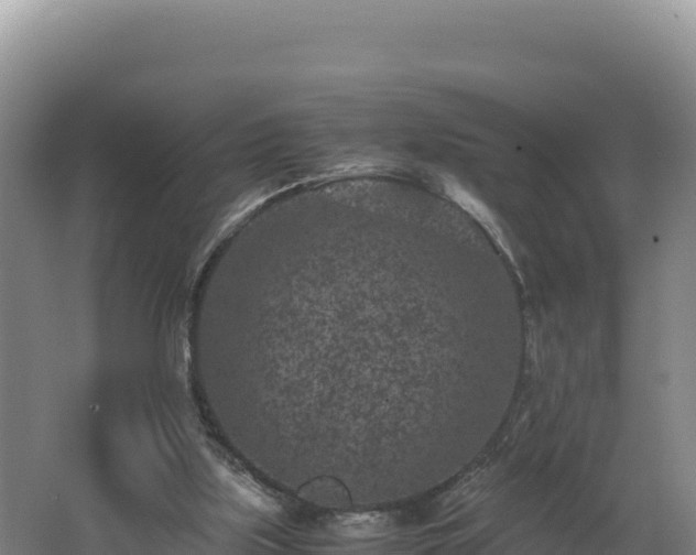 X0000062630059200512231025