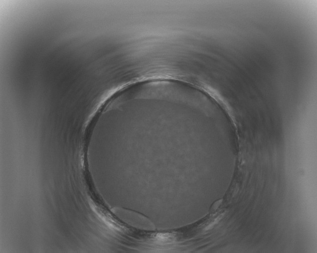 X0000062630060200512231025